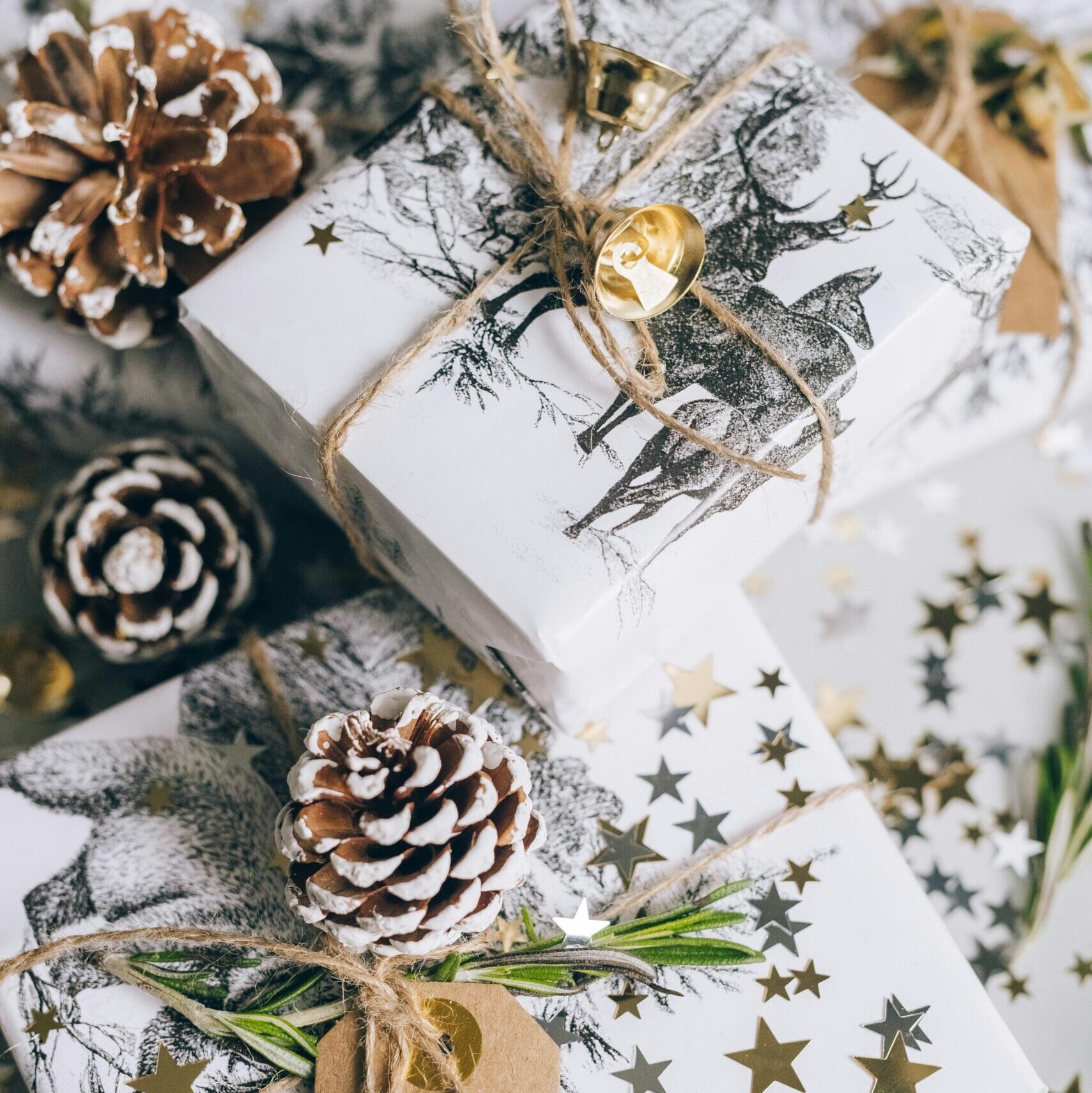 Pexels leeloothefirst